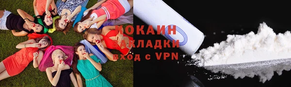 стаф Арсеньев