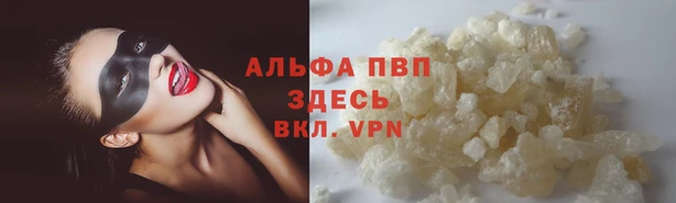 стафф Армянск