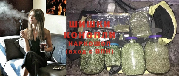 стаф Арсеньев