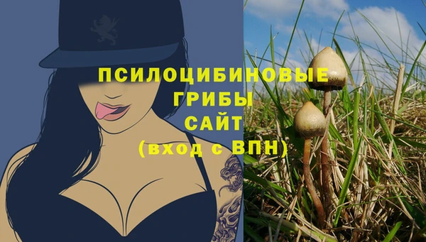 стафф Армянск