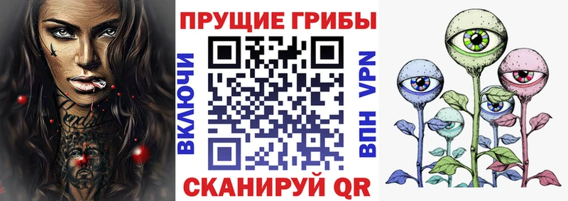 купить цена Белово Псилоцибиновые грибы GOLDEN TEACHER